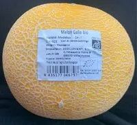 Amount of sugar in Melon Galia Bio